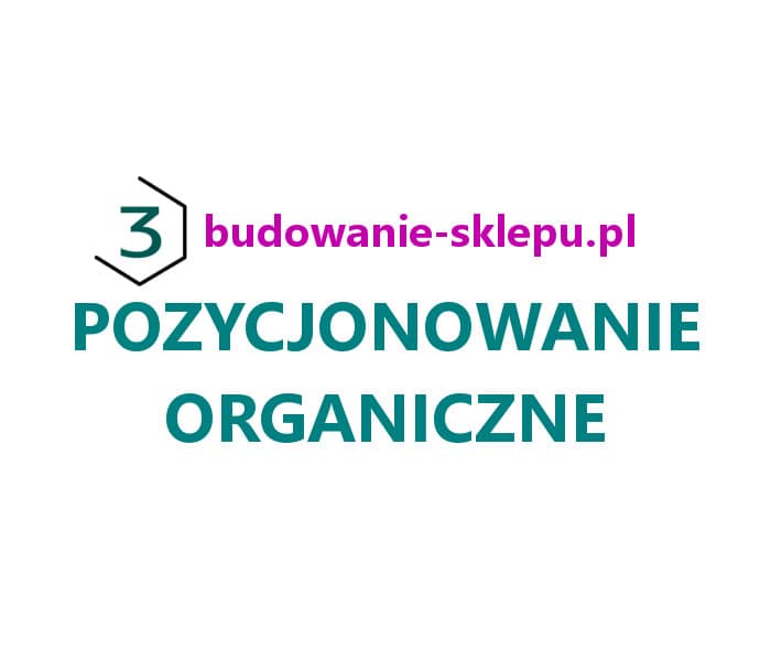 Pozycjonowanie organiczne sklepu internetowego słowa kluczowe
