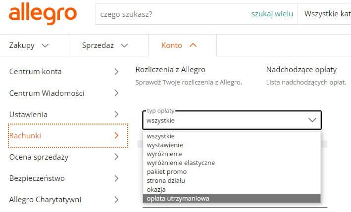 Gdzie sprawdzić, w których ofertach Allegro nalicza opłaty